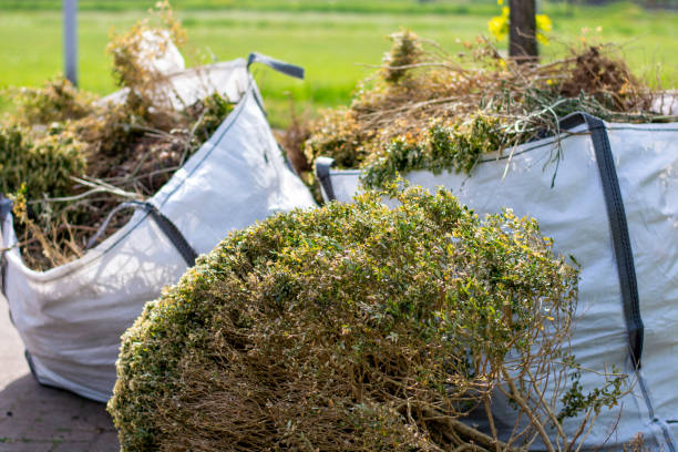 Best Yard Waste Removal  in Baywood Park, CA